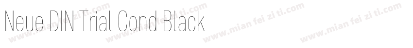 Neue DIN Trial Cond Black字体转换